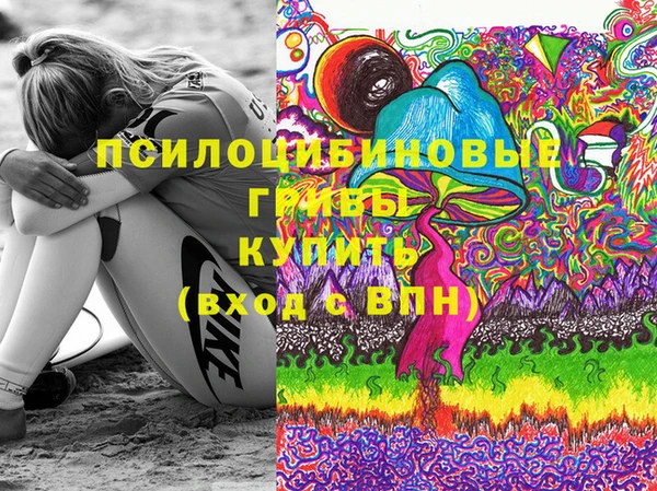 метадон Алексин