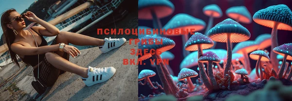 кокаин колумбия Алзамай