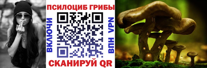 Галлюциногенные грибы Cubensis  Саров 